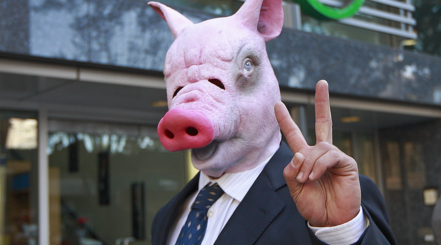 Animal Farm: Scientists create first pig-human hybrid (PHOTO)
