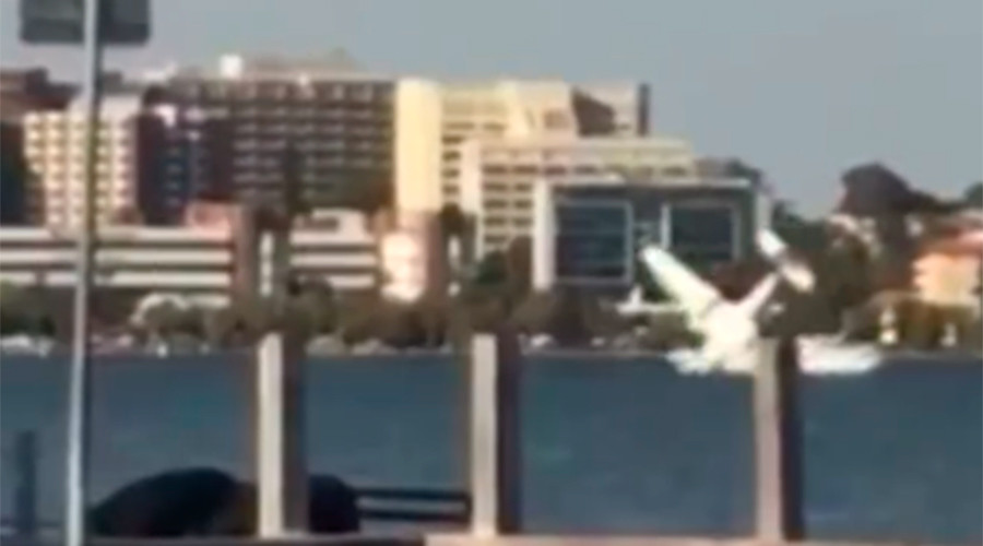 2 people die in plane crash in front of Australia Day crowd (VIDEO)