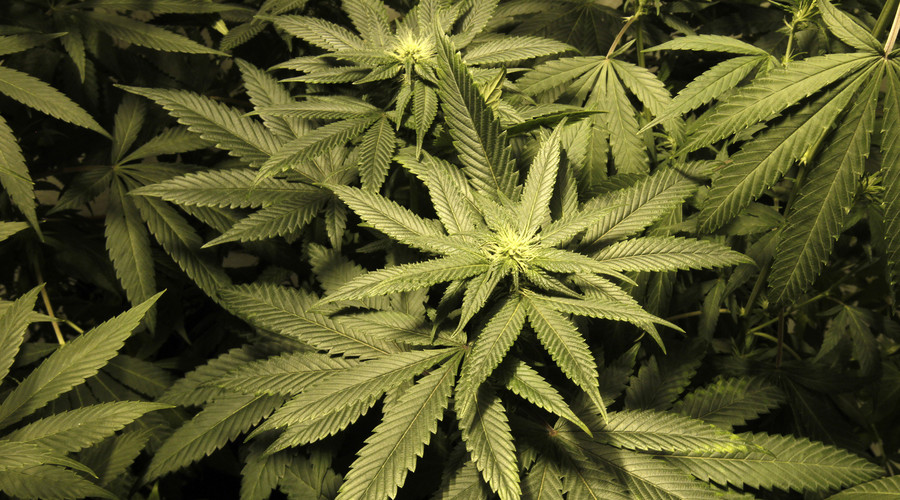 Washington state bill would ban bitcoin for marijuana sales