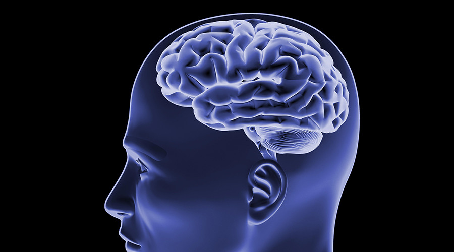 Fighting words: Bilingual people ‘better equipped’ to tackle Alzheimer’s - study