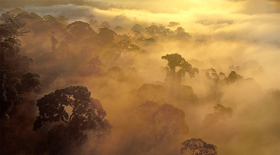 Earth’s evolution delayed by 2bn years due to low oxygen levels - study