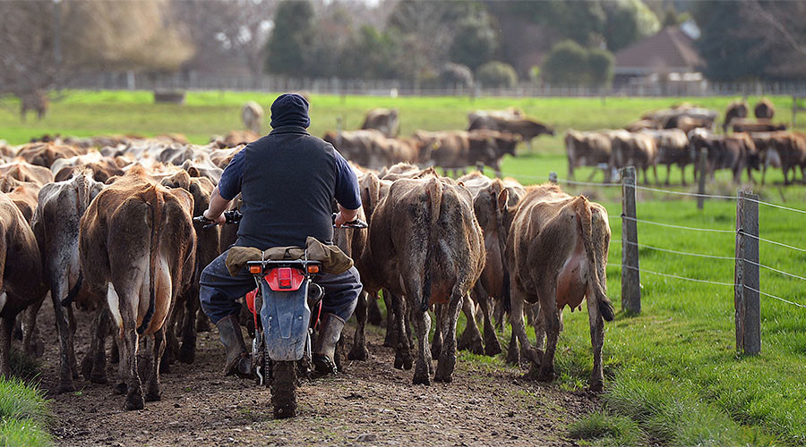 Russia issues temporary ban on beef from New Zealand