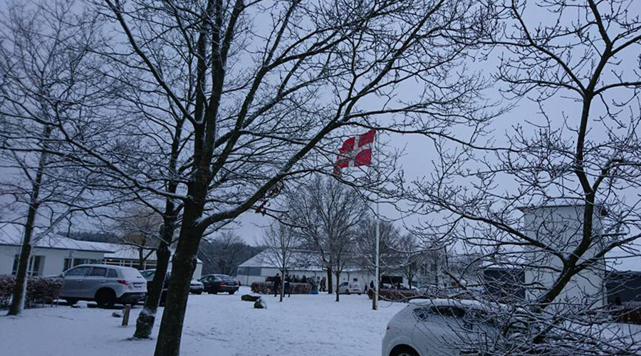 4 Danish teens arrested after 'setting Afghan boy on fire'