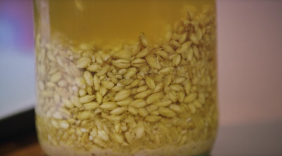 Barley recognizable: Resurrected 5,000yo Chinese beer resembles oatmeal