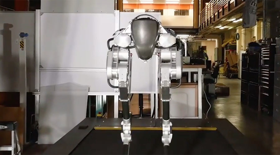 Raptor legs & human hips: Giant leap for walking robots