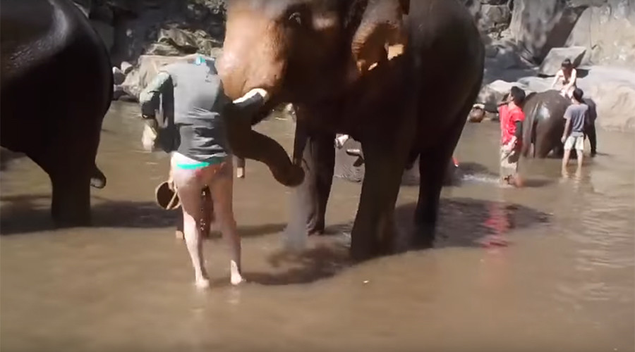 Thai elephant catapults unsuspecting tourist into the air (VIDEO)