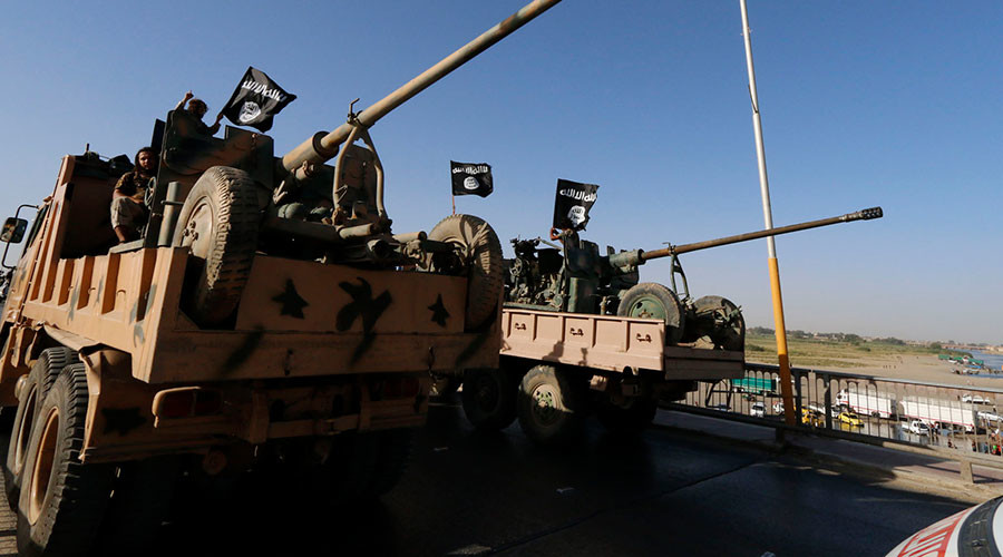 Islamic State in financial pit, income halved since 2014 – study