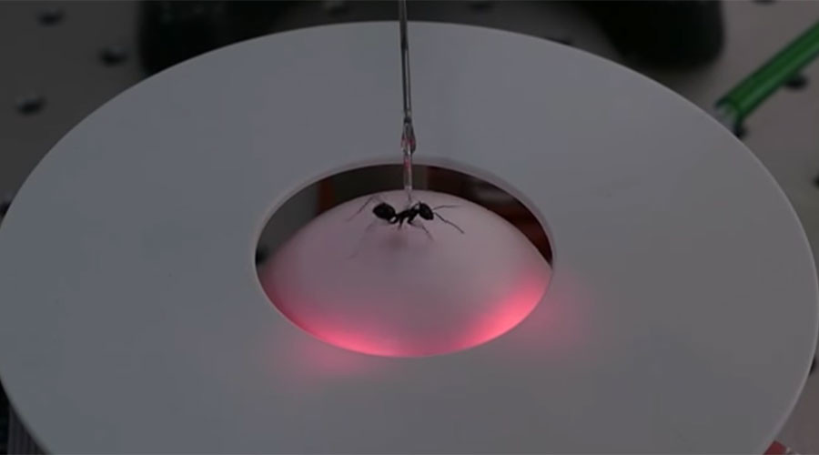 Ant treadmill could be a game changer for mini robots, seriously (VIDEO)