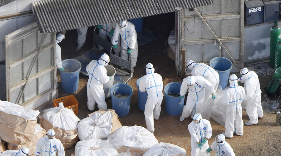 ‘Largest pandemic in 100 years’ threatens China as bird flu spreads