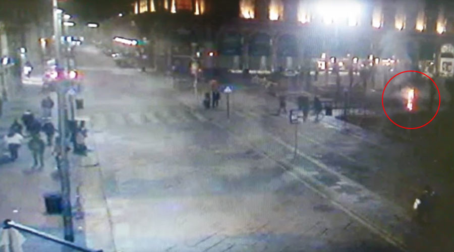 ‘No Africanization here’: Milan’s palm trees burned following right-wing protests (VIDEO & IMAGES)