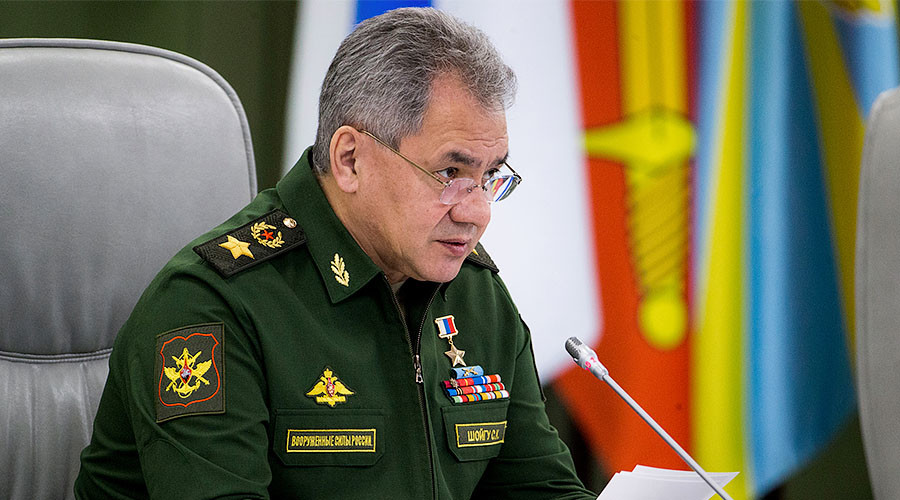 ‘Don’t tell a bear what to do’: Russia brushes off UK warning not ‘to stick paws in’ Libya
