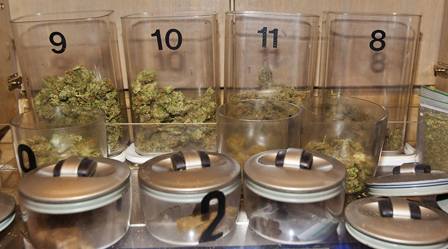 Dutch MPs vote to allow pot cultivation