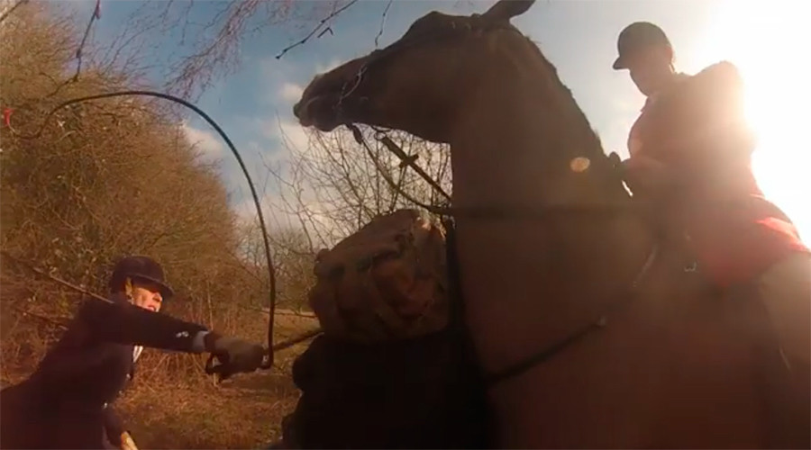 Royal godmother accused of whipping fox hunt protester (VIDEO)