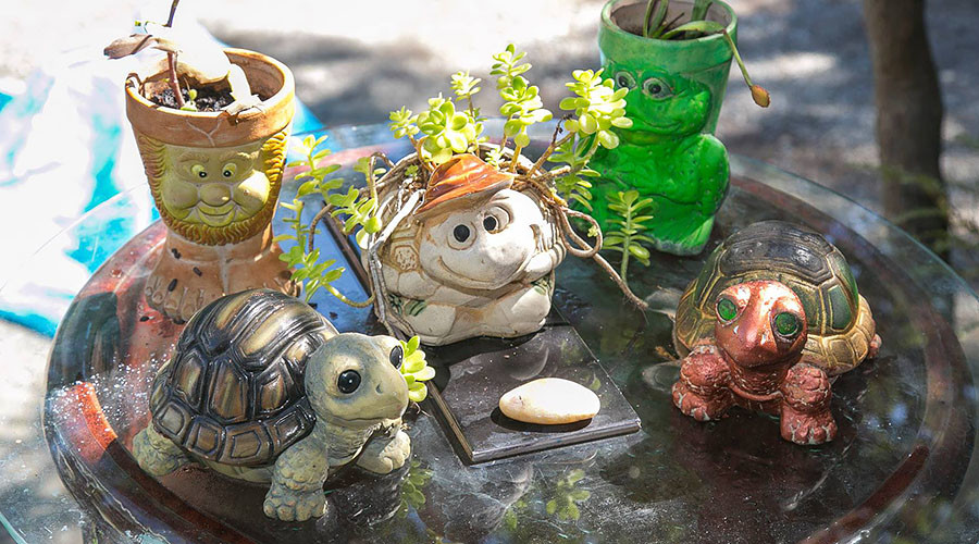 Gnome offender: NZ addicts stealing garden ornaments to pay for crystal meth