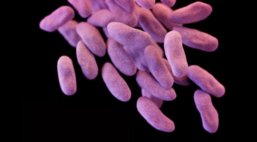 WHO urges quick development of antibiotics to combat superbugs, warns options are running out