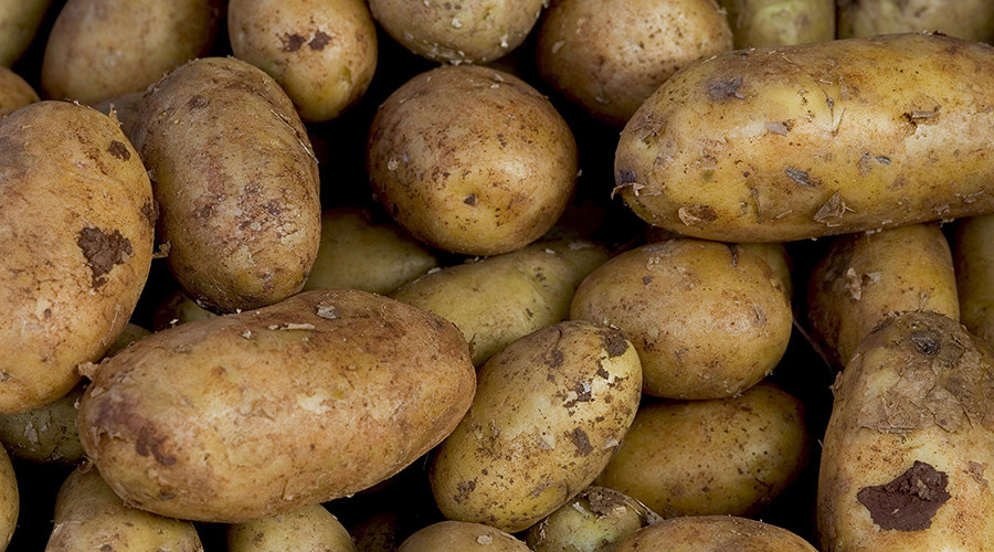 EPA joins FDA to approve 3 types of genetically modified potatoes