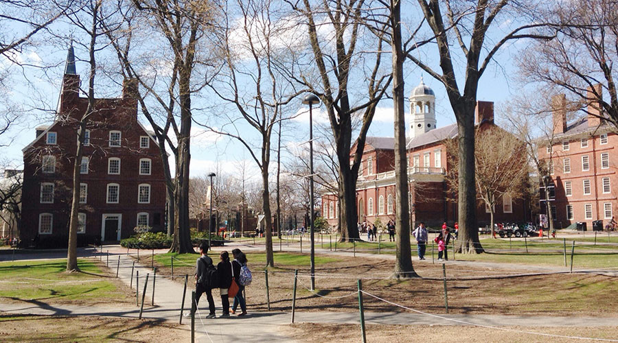 ‘Big temptation for theft in Harvard Uni due to lack of control’