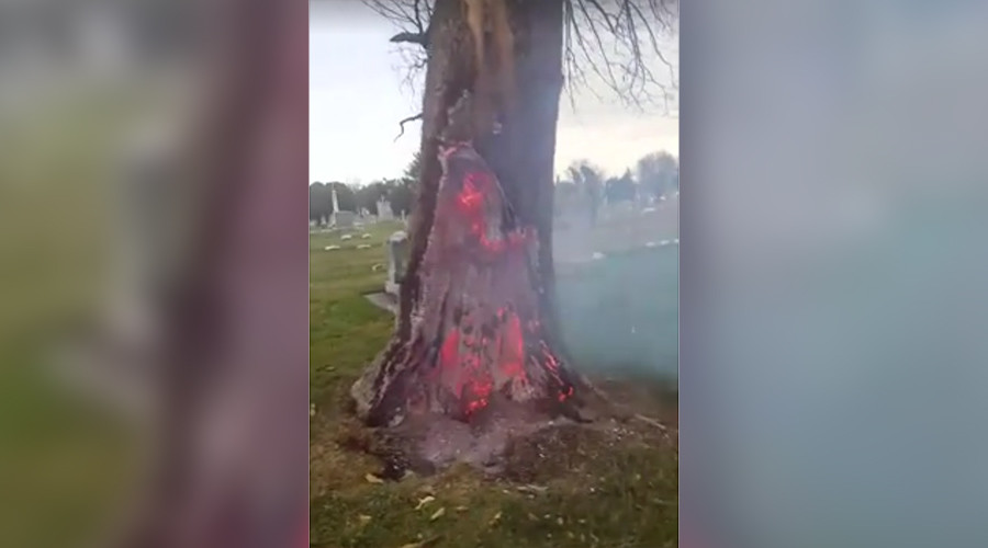 Gates to hell? Eerie blazing tree base filmed after lightning storm (VIDEO, POLL)