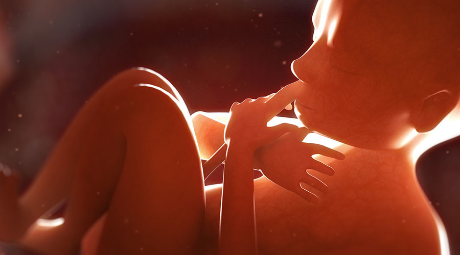 Gruesome discovery near Indian hospital prompts ‘abortion racket’ probe
