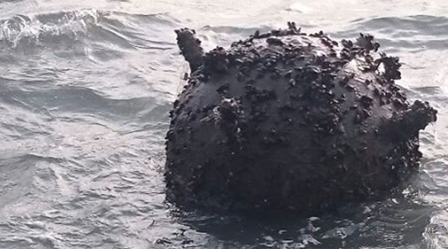 86yo mine found shrouded in mystery & vegetation off Swedish island