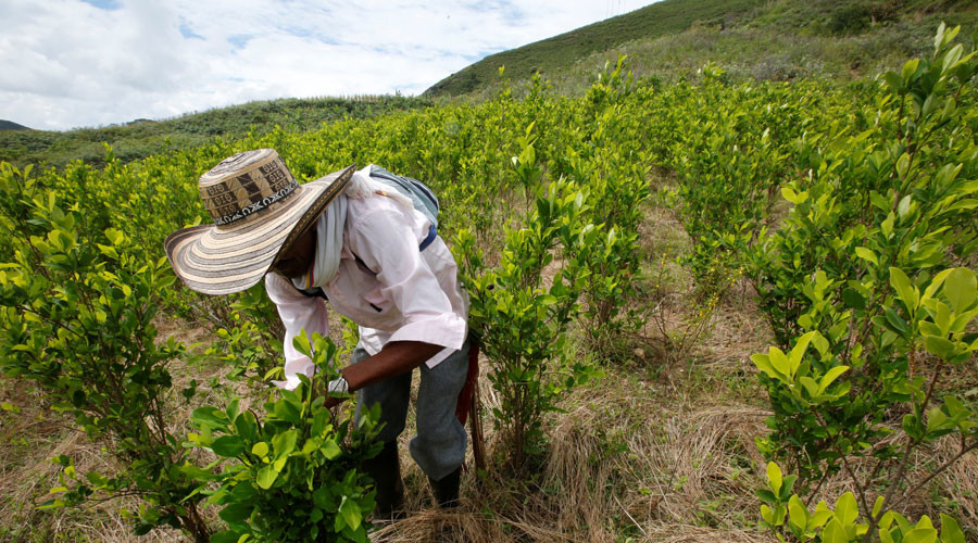 Colombia blows away competition as world's top cocaine producer
