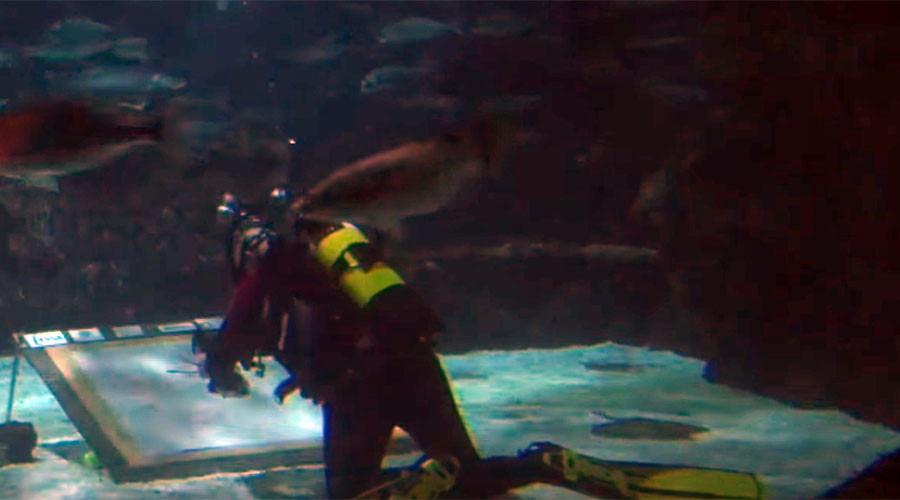 Extreme artist braves shark-infested waters to pay homage to Spanish wingsuit pioneer (VIDEO)