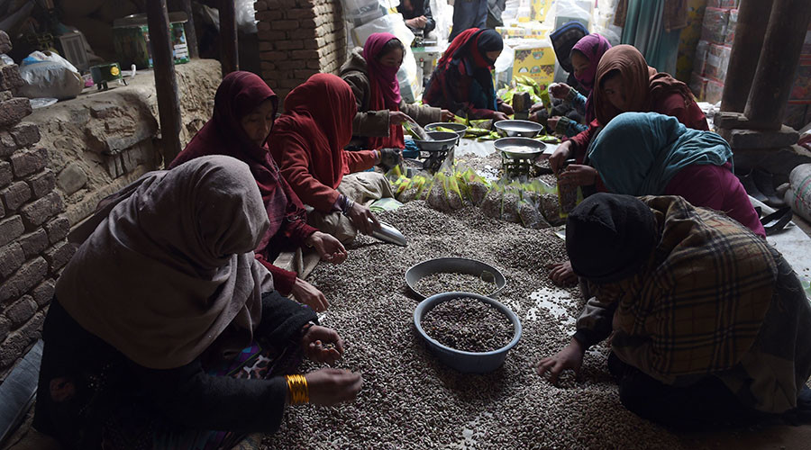 Taliban goes nuts, making millions selling pistachios