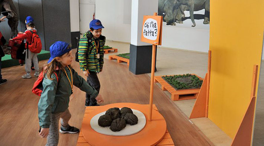 Poo at the zoo: Rome biopark opens feces exhibition for curious children