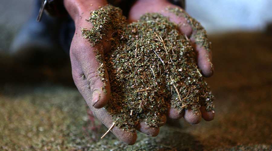 Goodwill weed: Cooler containing $25,000 worth of marijuana dropped at thrift store