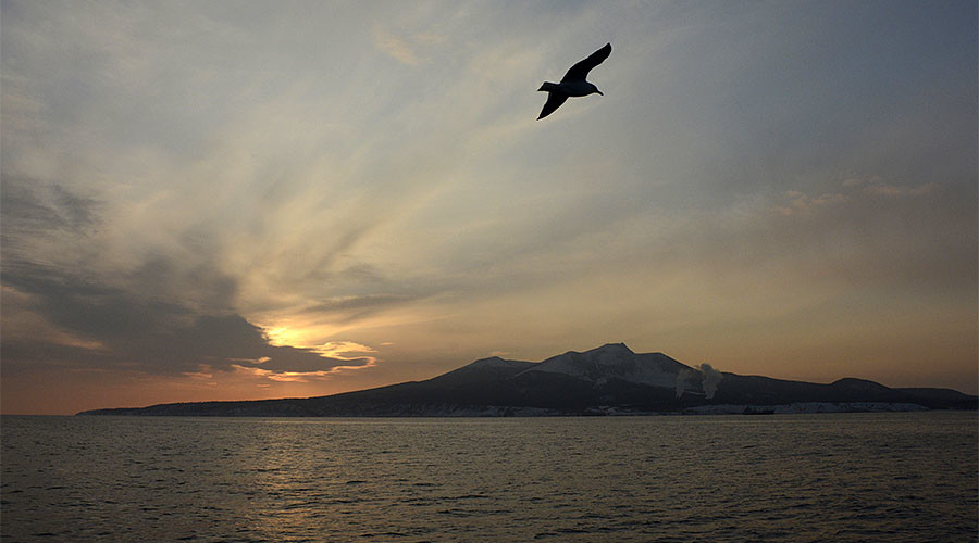 Japan, Russia eye active defense exchanges, divided on some issues