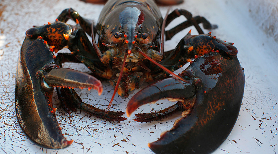 Craze for lobsters in China sends US exports soaring
