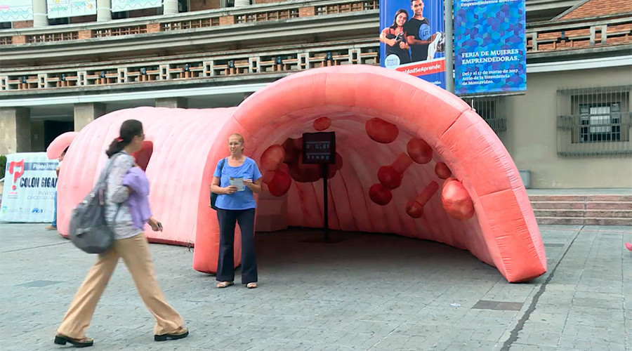 Visitors to Uruguayan city hall wander into giant colon (VIDEO)
