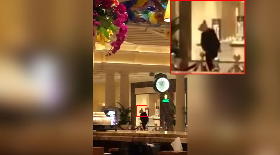 Animal mask-wearing suspects arrested after burglary at the Bellagio in Las Vegas (VIDEOS, PHOTOS)