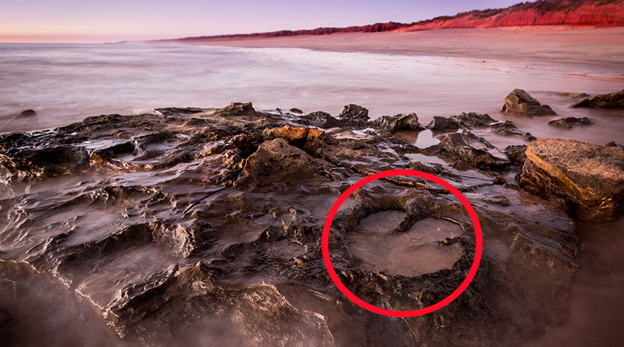 Jurassic highway: Thousands of dino footprints uncovered, including rare stegosaurus tracks (VIDEOS)