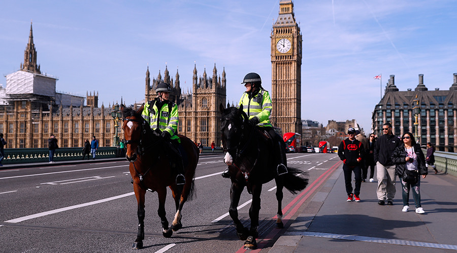 War on Terror & neo-con agenda to blame for Westminster attack, says rights group