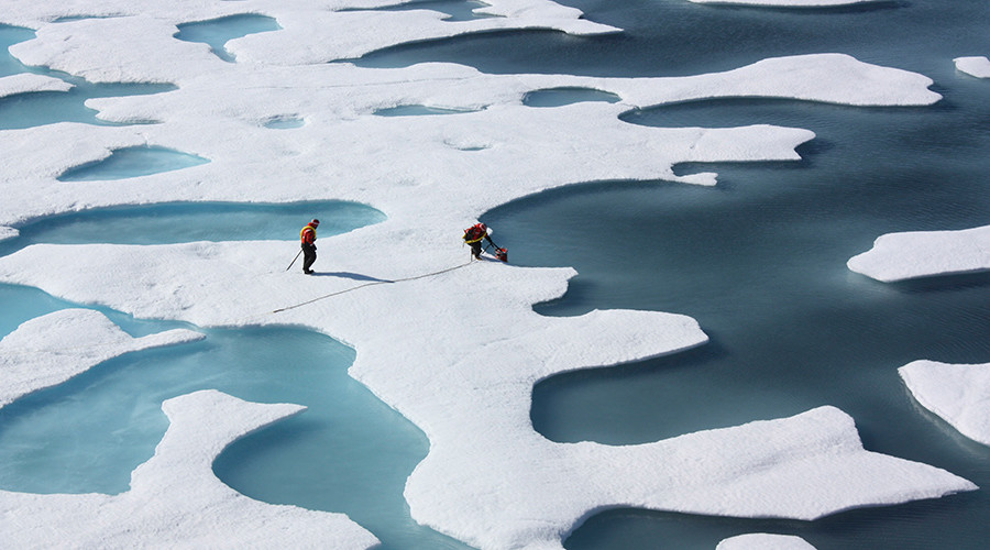 Melting sea ice may actually increase Arctic sea life – study
