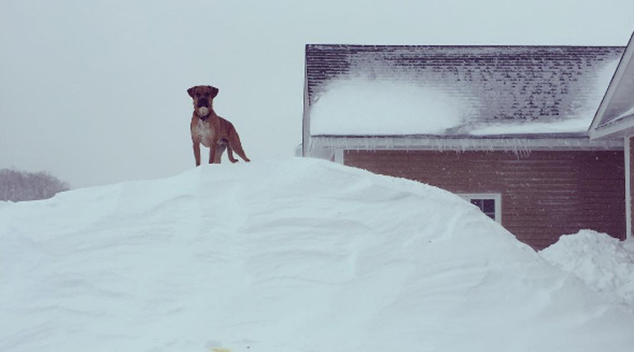 ‘Snowmageddon’: Canada hit with 2m of snow & has mind-boggling pics to prove it (PHOTOS, VIDEOS)