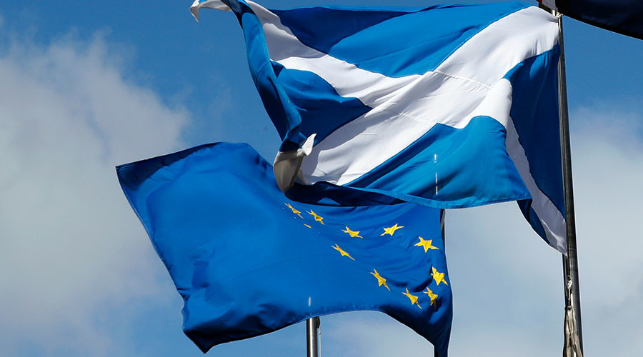 Breakaway Scotland’s return to EU would be ‘relatively speedy’ – German MEP