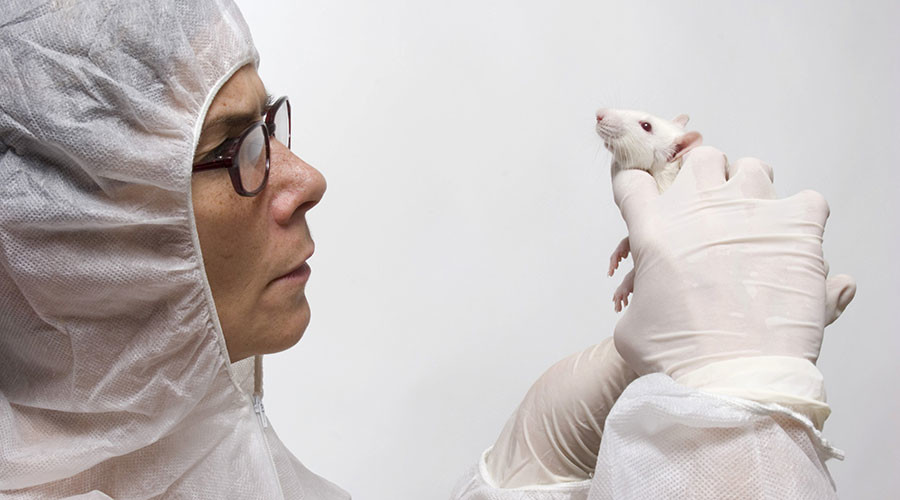 Mice not ‘furry little people’: Researchers rethink animal testing as human trials fail