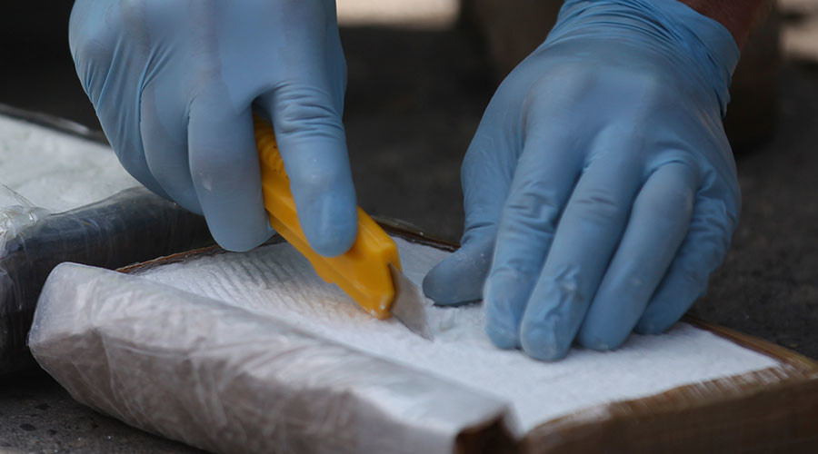 German cops find 380kg of cocaine in boxes of bananas (PHOTO)