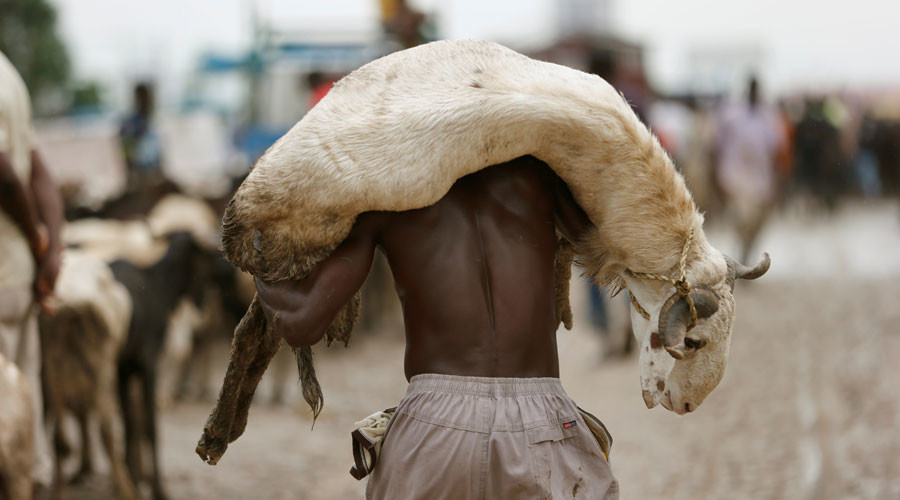 Zimbabweans could soon use livestock as collateral