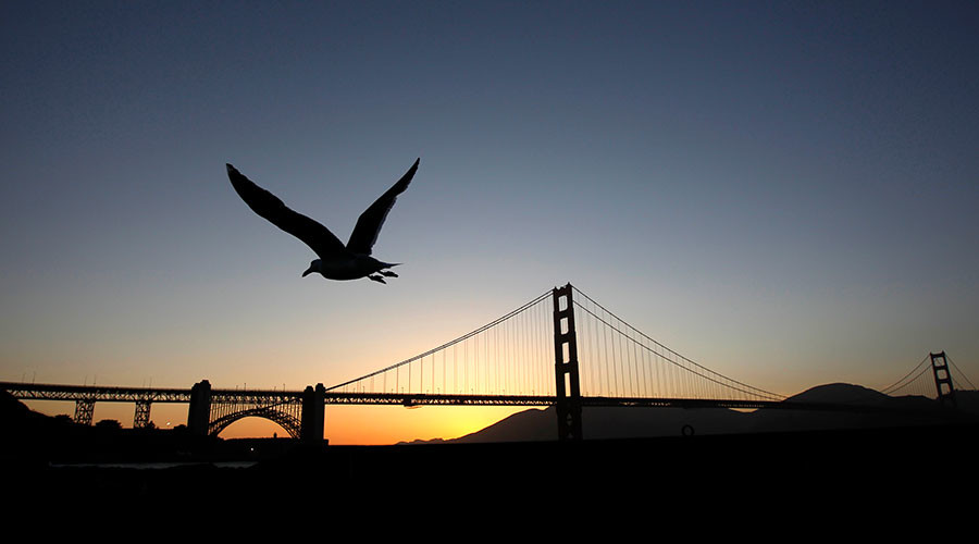 80 years, 1,500 deaths: Suicide deterrent nets going up at Golden Gate Bridge