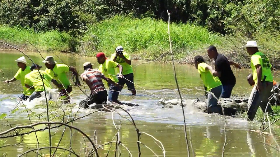 Easter crocodile hunters of Costa Rica (VIDEO)