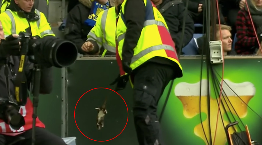 Football fans hurl rats at player during Brondby-Copenhagen derby