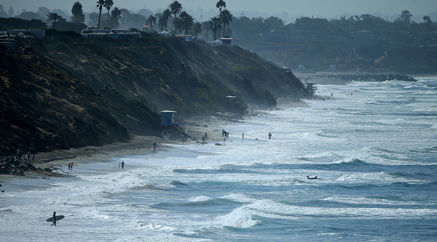 Sea creatures ‘dissolving’ in warming Pacific ocean – study