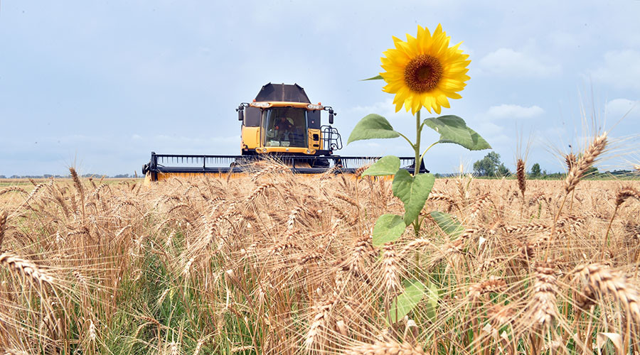 Russia to keep trade restrictions on Turkish goods unless grain tax removed – official
