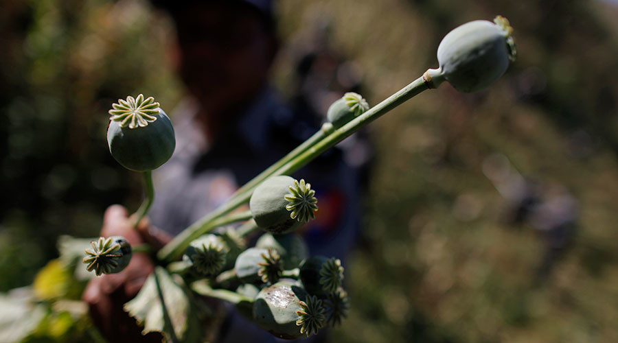 US offers to help fund Mexico’s heroin eradication efforts ‒ report