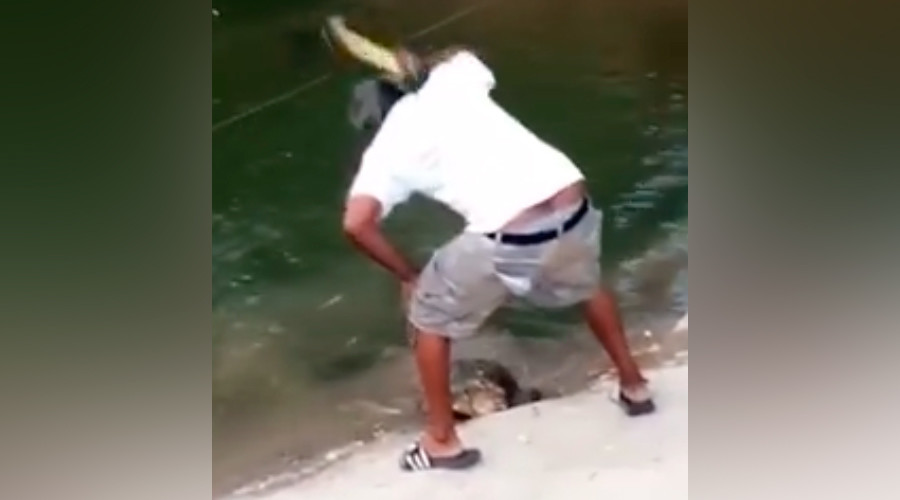 Texan who smashed wild turtle to death with hammer sentenced to 4 yrs probation (GRAPHIC VIDEO)