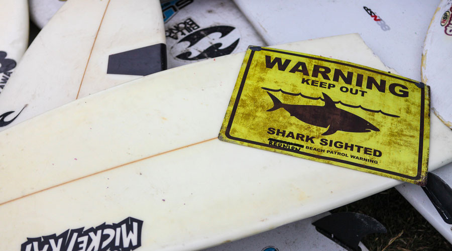 Boxing clever: Husband punches shark in head to rescue wife from horrifying attack