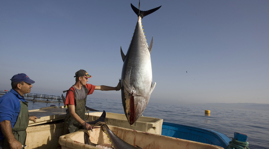 WTO allows Mexico to impose trade sanctions against US